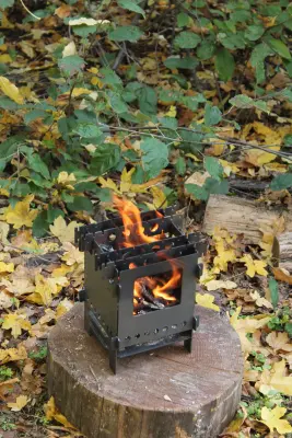 Щепочниця — мала 2мм